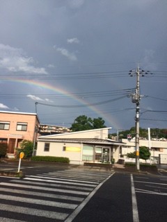 雨上がり①